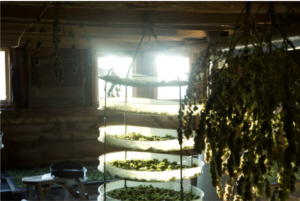 drying racks