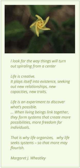 WheatleyQuote-1