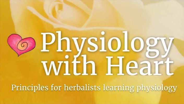 2KpQ6ZRCSIClVJObtYVZ_Physiology+with+Heart+Copy+6